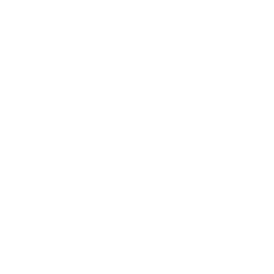Braulio Filoteo Logo